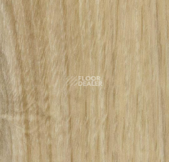 Кварцвиниловые полы Forbo Effekta Professional 0.45 4113 P Honey Authentic Oak PRO фото 1 | FLOORDEALER